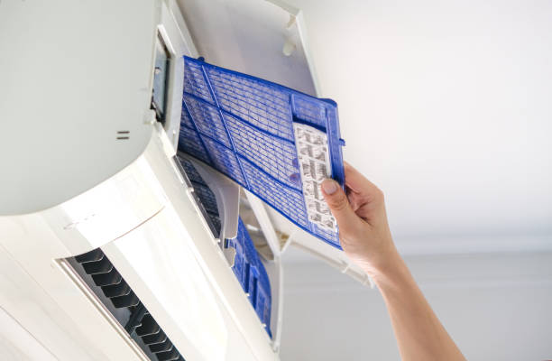 Best Air Duct Mold Removal  in Milbank, SD